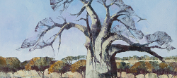 Baobab Study I | 2016 | Oil on Canvas | 42 x 60 cm
